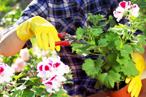 Finchley landscaper designing a garden layout