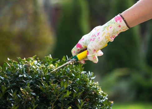 A gardener's hand wearing a floral-patterned gardening glove is using pruning shears to trim a well-maintained, dense green hedge in a backyard garden. The hedge is lush, with small, glossy leaves, and runs along a landscaped area that includes a grassy lawn in the foreground. In the background, there are mature trees and additional shrubbery, suggesting a mature and established outdoor space typical of residential gardens in Finchley or nearby areas. The scene is illuminated by natural daylight, indicating a clear, pleasant weather day. The image highlights active gardening maintenance, specifically hedge trimming, which can be part of professional garden and landscaping services offered by companies like Landscapers Finchley. The setting demonstrates a neatly kept garden environment suitable for outdoor leisure and aesthetic enhancement, supporting overall garden care and landscaping improvements in the local area.
