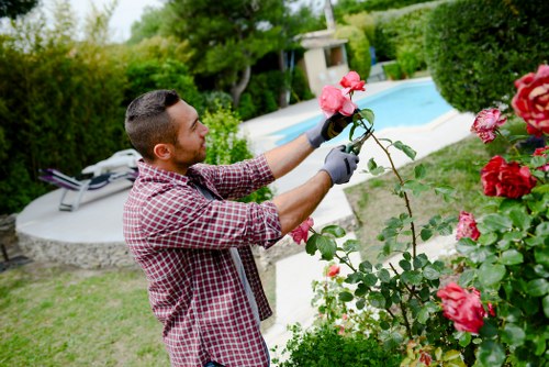 A man in a checkered shirt and gardening gloves is pruning a rose bush with pink blossoms in a well-maintained backyard garden, situated in Finchley. The garden features a neatly trimmed lawn with lush green grass bordering the flower bed, which contains vibrant red roses. In the background, there is a rectangular swimming pool with light blue water, surrounded by a paved area with a lounge chair. Tall hedges and a variety of trees provide privacy and natural shade, while the sky is partly cloudy, indicating mild weather. The scene showcases a landscaped outdoor space that combines flowering plants, grass, and paved surfaces, reflecting professional gardening and landscaping work by Landscapers Finchley. The overall environment looks tidy and inviting, emphasizing the care and attention given to outdoor maintenance and garden beautification in the local area.