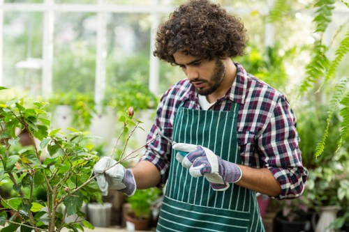 Variety of plants suitable for Finchley gardens