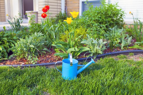 Garden clearance essential services in Finchley