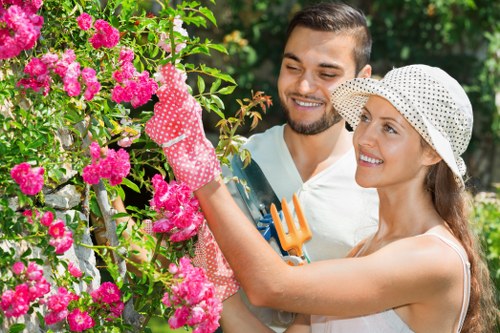 Professional gardener trimming a hedge