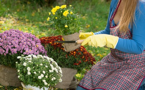 Sustainable gardening practices in a Finchley garden