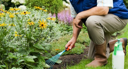 Illustration representing Finchley landscapers with accessible content