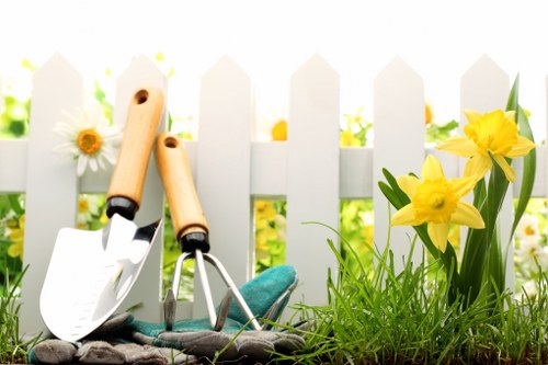 Professional debris removal in Finchley gardens