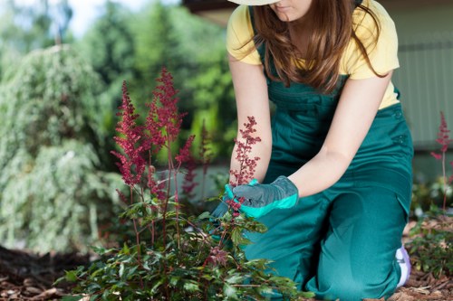 Reusable garden materials prepared for charity partnership donation