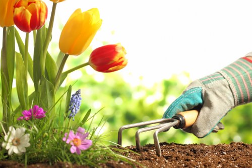 Gardener using trimming tools on a hedge