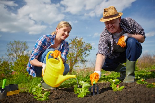 A young woman and an older man are working together in a garden, planting or tending to small green plants in a neatly maintained garden bed. The woman has blonde hair and is wearing a blue plaid shirt, while the man, wearing a straw hat and grey plaid shirt, is kneeling beside her, both holding gardening tools and wearing orange gloves. The garden is outdoors under a partly cloudy sky, with a lush green backdrop that includes trees and shrubs in the distance. The soil in the garden bed appears freshly turned, dark, and fertile, with small, evenly spaced plants emerging from it. The scene suggests a collaborative gardening activity, possibly part of a landscaping or lawn care service, with natural lighting highlighting the healthy plants and the cheerful interaction between the two individuals. This outdoor space could be part of a residential garden in Finchley or the surrounding area, reflecting a well-maintained, environmentally friendly outdoor environment.