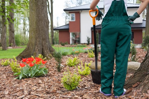 Essential lawn mowing tools and equipment